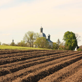 sécurité alimentaire