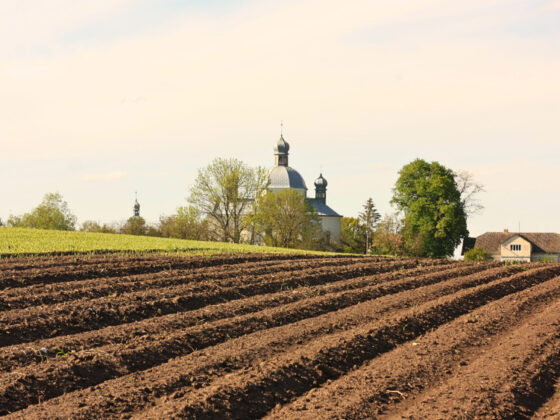 sécurité alimentaire