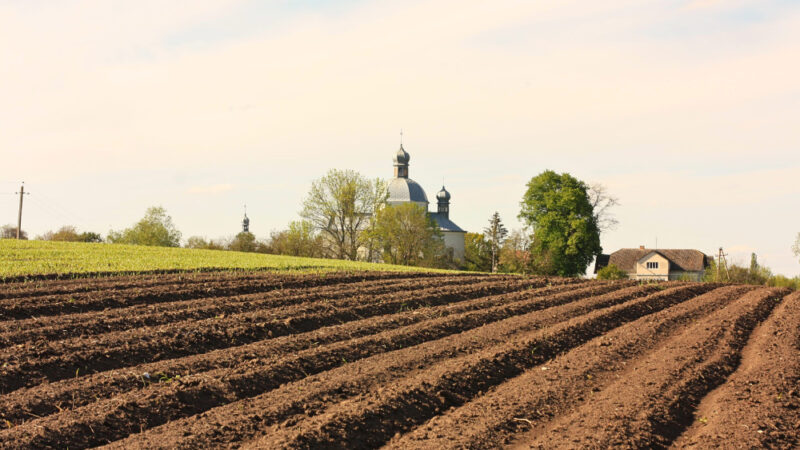 sécurité alimentaire