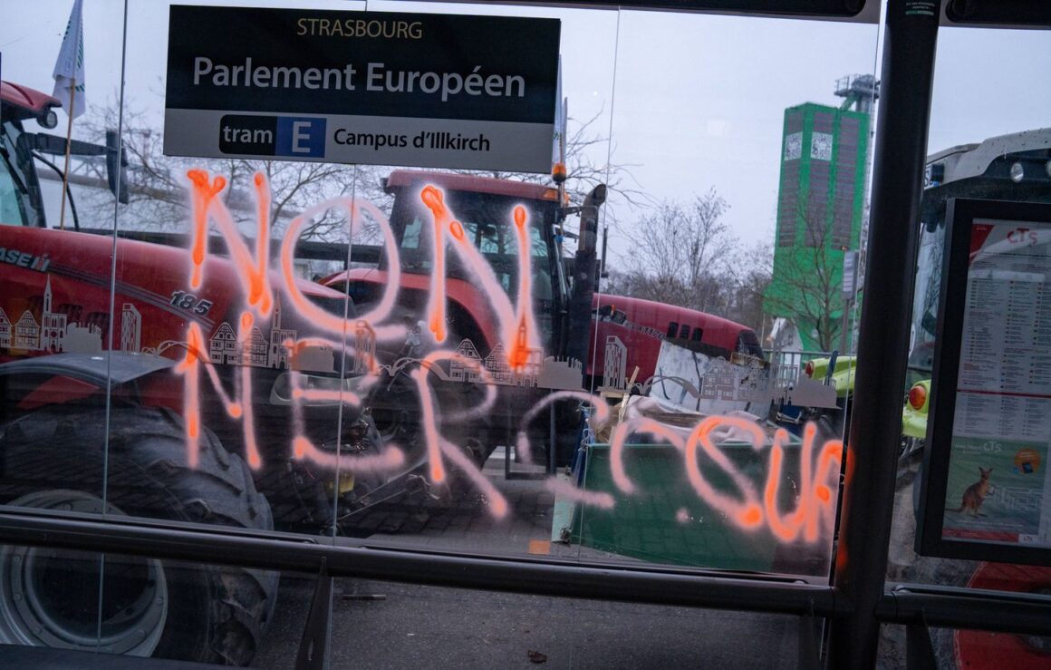 Mercosur agriculture France