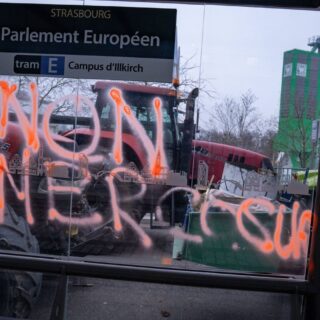 Mercosur agriculture France