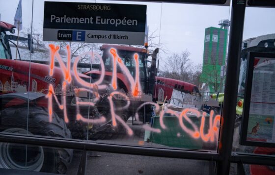 Mercosur agriculture France