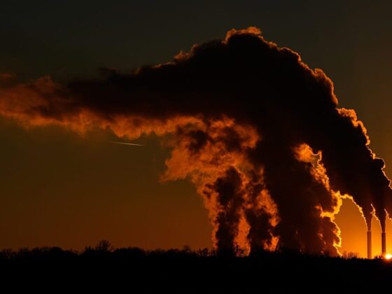 audit des risques climatiques