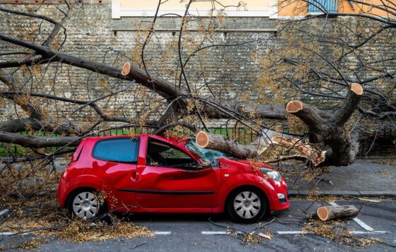 tempêtes Nils Pedro dommages
