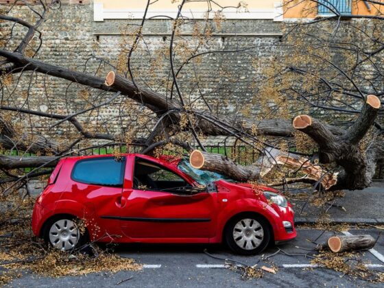 tempêtes Nils Pedro dommages