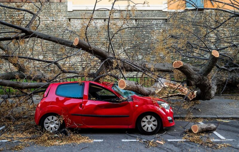 tempêtes Nils Pedro dommages
