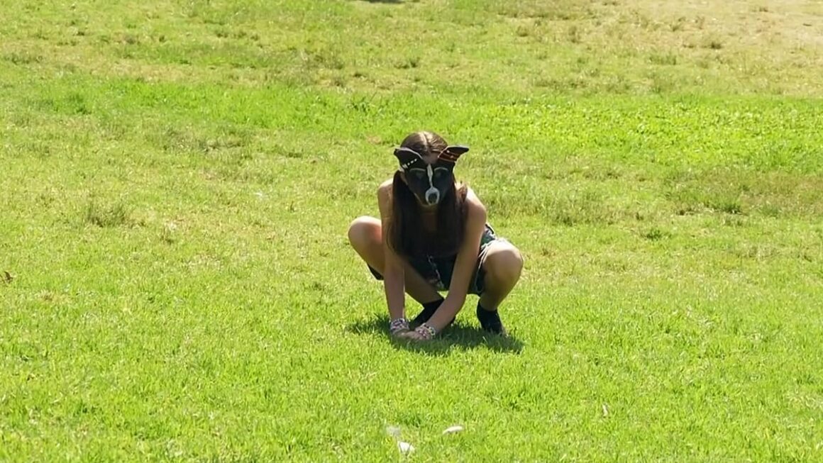 phénomène thérien