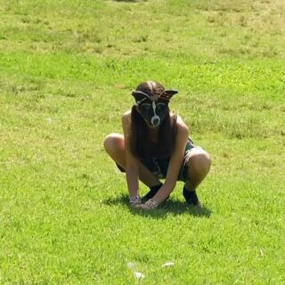 phénomène thérien