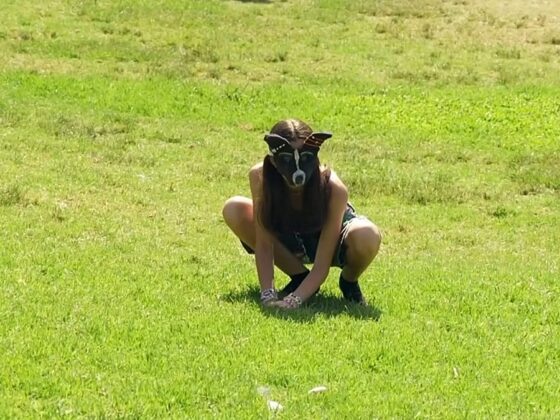 phénomène thérien