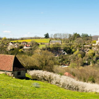 terrains non entretenus