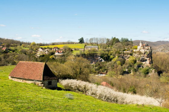 terrains non entretenus