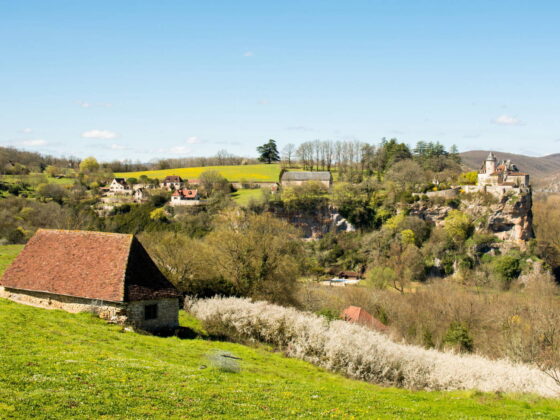 terrains non entretenus