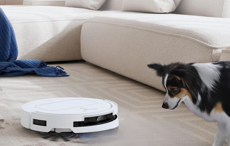 bons plans réductions