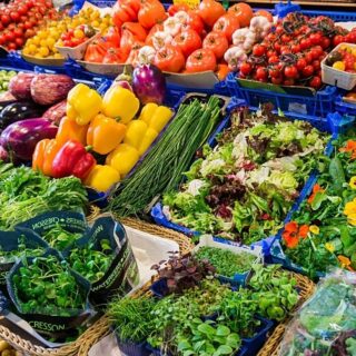 régimes végétariens cancer