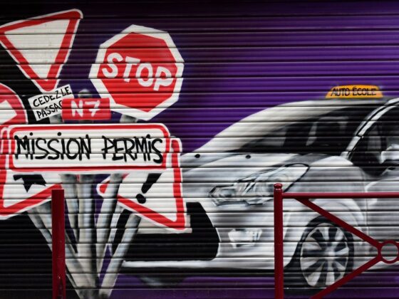 bouchons permis de conduire