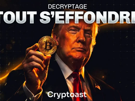 crypto euphorie haine