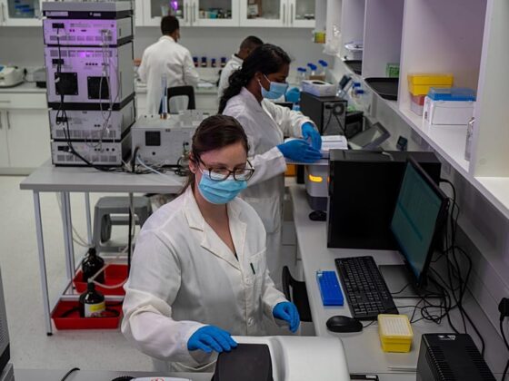 chercheuses en santé