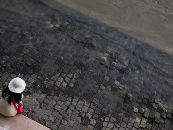 stratégie climat France