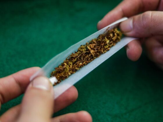 ados consommation alcool