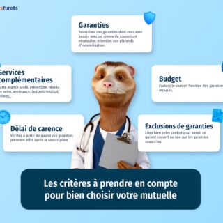 Ca ma santé mutuelle est votre allié pour choisir la meilleure couverture santé. Découvrez nos conseils et faites le bon choix pour votre bien-être.