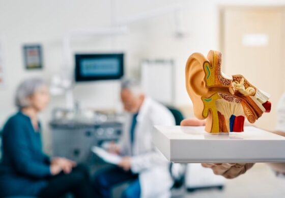 Loi Evin mutuelle santé : découvrez comment bénéficier d'une protection optimale pour votre santé. Informez-vous et agissez dès maintenant pour votre bien-être.