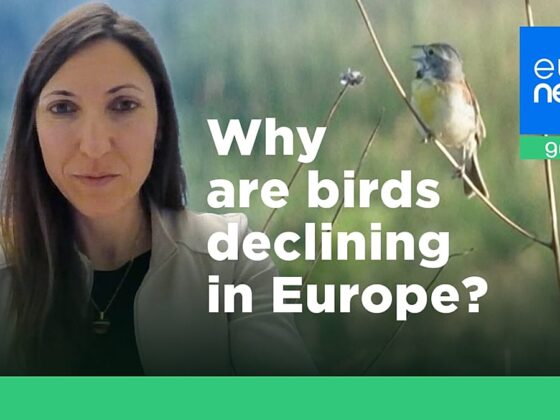 agriculture verte oiseaux