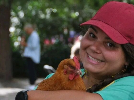 obésité alimentaire