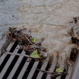 cocaïne eaux usées