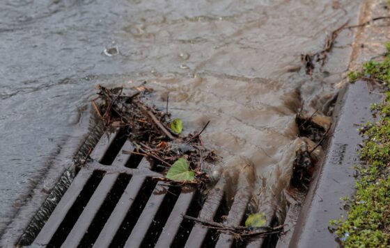 cocaïne eaux usées