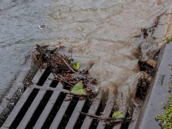 cocaïne eaux usées