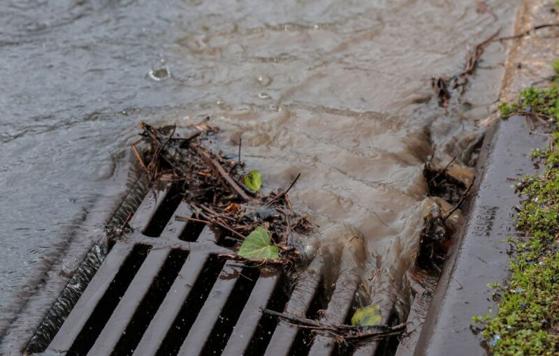 cocaïne eaux usées
