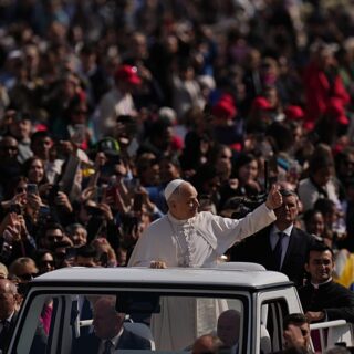 greffes d'organes animaux