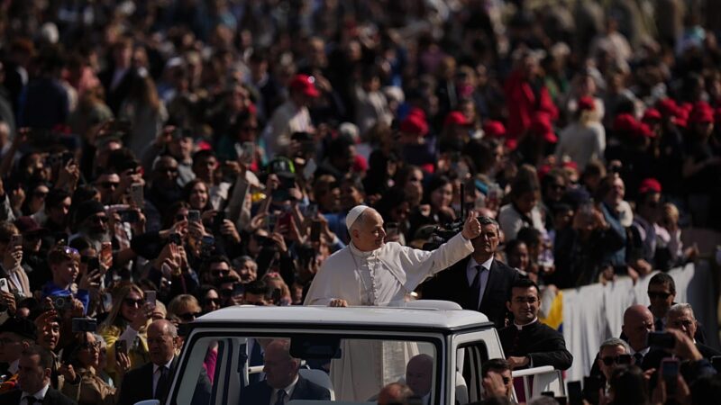 greffes d'organes animaux