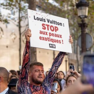 Jeremstar anti-corrida