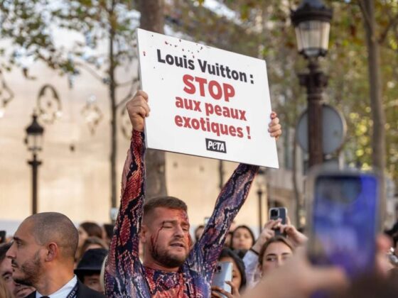 Jeremstar anti-corrida