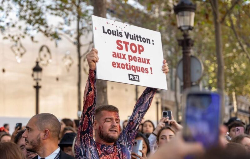 Jeremstar anti-corrida