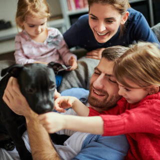 Assurance maladie chat : comment choisir la couverture adaptée pour protéger la santé de votre compagnon. Analyse et conseils pratiques pour bien choisir.