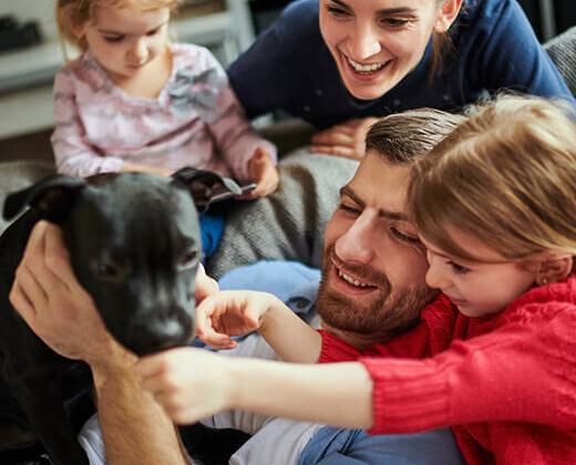 Assurance maladie chat : comment choisir la couverture adaptée pour protéger la santé de votre compagnon. Analyse et conseils pratiques pour bien choisir.